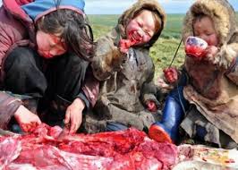 Eskimi jedu sirovo meso.