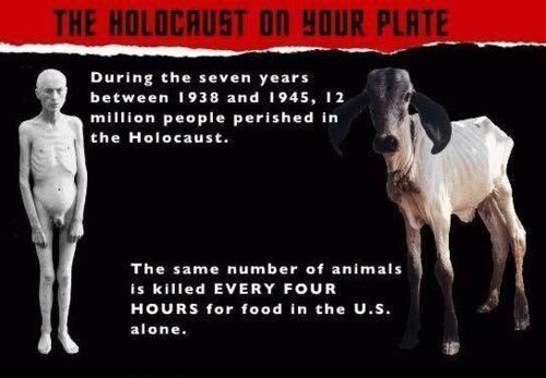 HOLOKAUST NA VAŠEM TANJURU Tijekom sedam godina, između 1938. i 1945. godine, 12 milijuna ljudi je stradalo u holokaustu. Isti broj životinja u SAD-u ljudi ubiju svaka četiri sata za hranu. 
