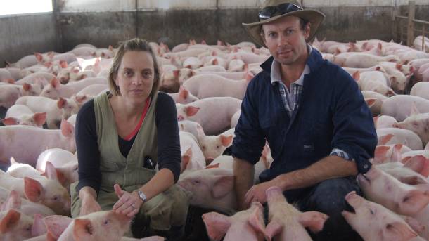 Robovlasnici ogromne farme svinja: Edwin i Michael Beveridge