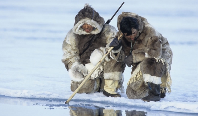 Eskimska prehrana je jako loša po zdravlje eskima, a još više po zdravlje životinja koje love.