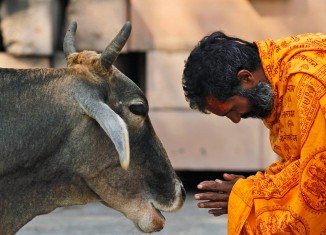 Temelji veganstva u istočnim religijama