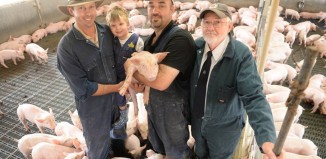Vlasnici ogromne farme svinja se zadovoljno smiješe na obiteljskoj fotografiji, iako znaju da će porobljene svinje sve biti poklane isključivo zbog njihove financijske koristi.